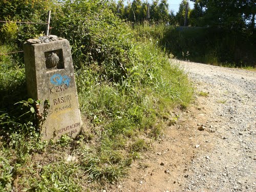 ribadiso-camino-francés