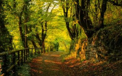 El Camino de Santiago, ¿Qué necesito saber antes de empezar?