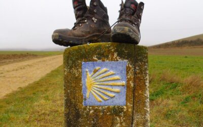 Guía “Un Camino para todos”