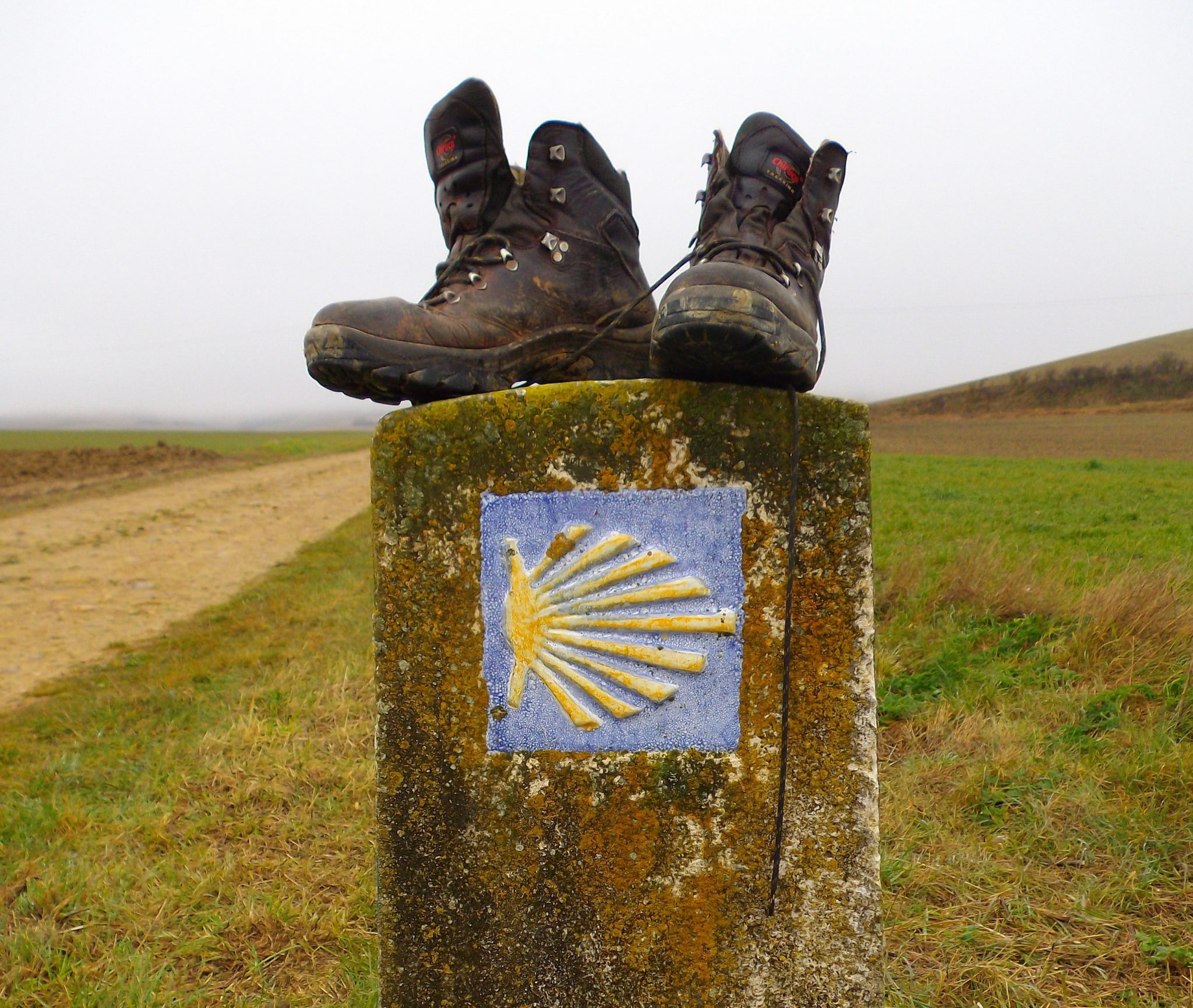 guía-discapacitados-camino-santiago