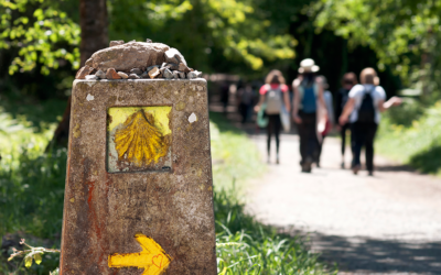 ¿Te estás planteando convertirte en peregrino? Cuáles son las mejores rutas de iniciación en el Camino