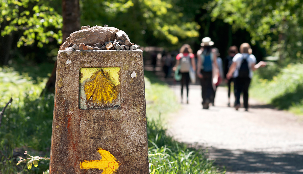 camino-de-santiago-dolencias