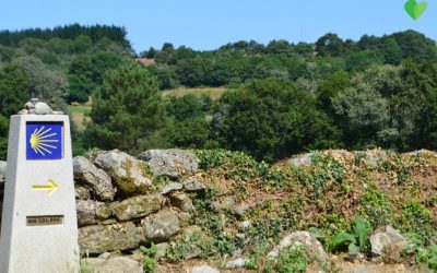 El Camino de Santiago sí es seguro