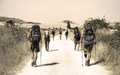 El diccionario del Camino de Santiago