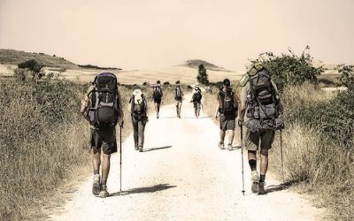 El diccionario del Camino de Santiago