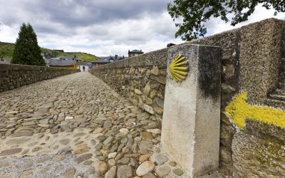 ¿Es el Camino de Santiago para ti?