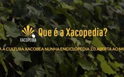 La Xacopedia, un enciclopedia virtual sobre el Camino de Santiago