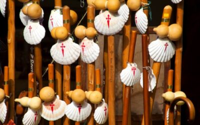 La vieira, símbolo de los peregrinos desde hace cientos de años