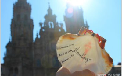 ¿Cuáles son los mejores blogs del Camino de Santiago?