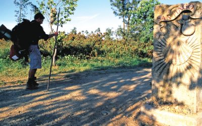 Ficha técnica de las Rutas Xacobeas del Camino de Santiago