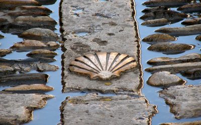 ¿Cómo empiezo a organizar mi Camino de Santiago?