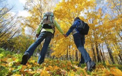 The Camino de Santiago and love