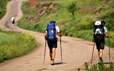 ¿Qué países aportan más peregrinos en el Camino de Santiago?