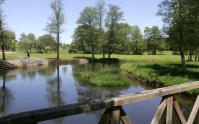 How can I get to Roncesvalles to start the French way?